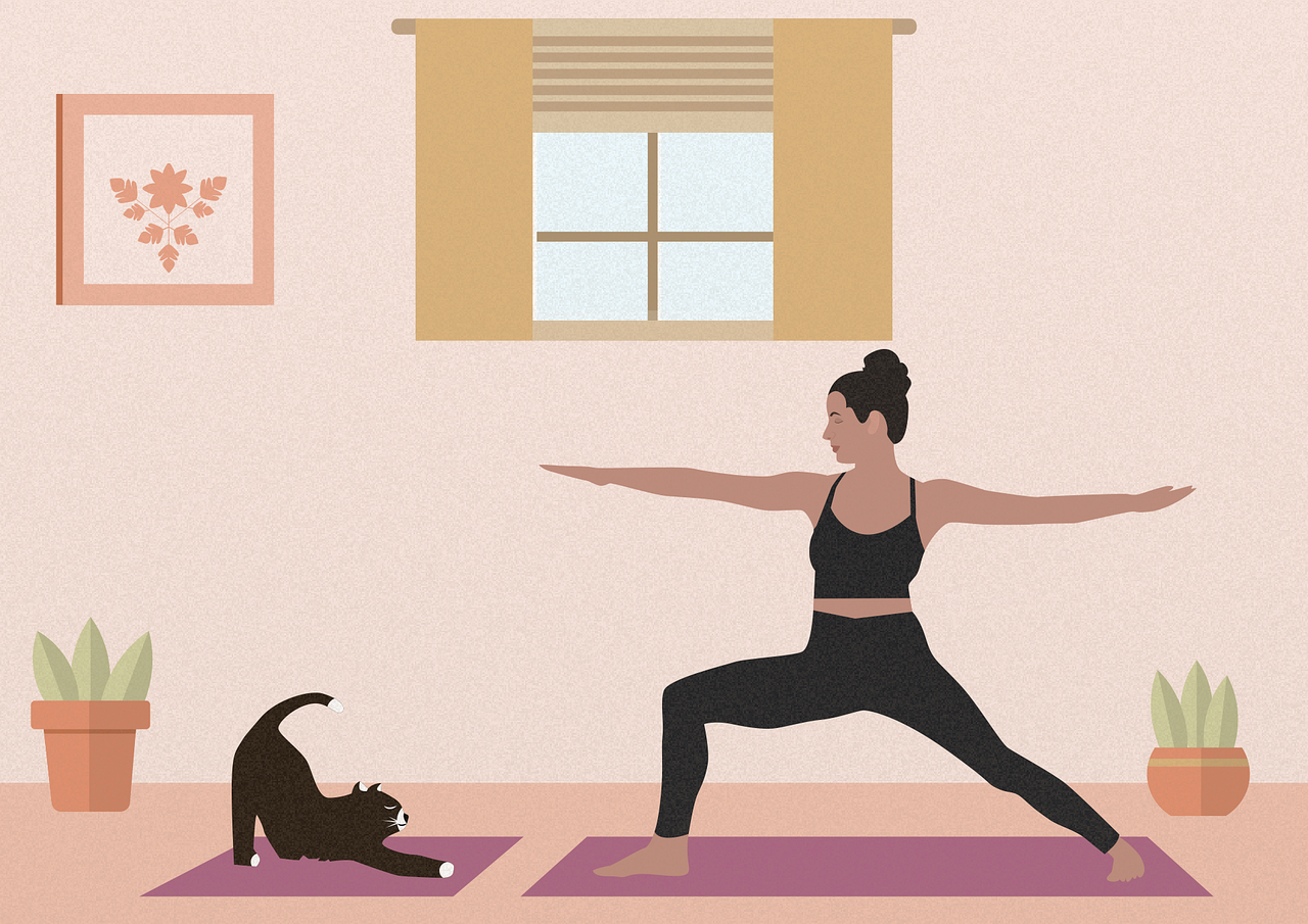 A person and cat practice yoga on mats. Indoors setting with potted plants, wall art, and a window with blinds.